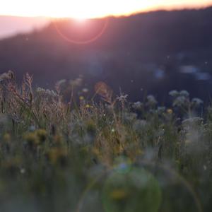 白丝美女被插到底
